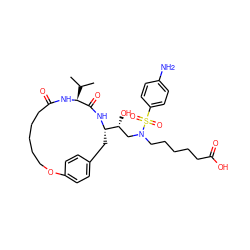 CC(C)[C@@H]1NC(=O)CCCCCOc2ccc(cc2)C[C@@H]([C@H](O)CN(CCCCCC(=O)O)S(=O)(=O)c2ccc(N)cc2)NC1=O ZINC000029394009