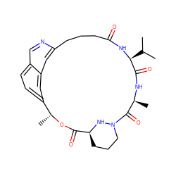 CC(C)[C@@H]1NC(=O)CCCc2cc3cc(ccc3cn2)[C@@H](C)OC(=O)[C@@H]2CCCN(N2)C(=O)[C@H](C)NC1=O ZINC000221607997