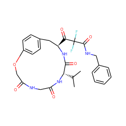 CC(C)[C@@H]1NC(=O)CNC(=O)COc2ccc(cc2)C[C@@H](C(=O)C(F)(F)C(=O)NCc2ccccc2)NC1=O ZINC000003939029