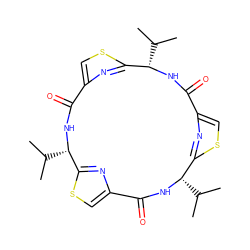 CC(C)[C@@H]1NC(=O)c2csc(n2)[C@H](C(C)C)NC(=O)c2csc(n2)[C@H](C(C)C)NC(=O)c2csc1n2 ZINC000169343822