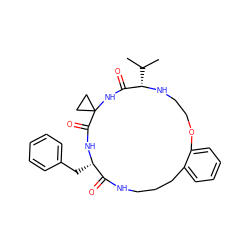 CC(C)[C@@H]1NCCOc2ccccc2CCCNC(=O)[C@H](Cc2ccccc2)NC(=O)C2(CC2)NC1=O ZINC001772597751