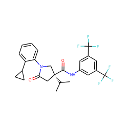 CC(C)[C@]1(C(=O)Nc2cc(C(F)(F)F)cc(C(F)(F)F)c2)CC(=O)N(c2ccccc2C2CC2)C1 ZINC000198443168