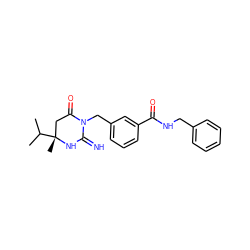 CC(C)[C@]1(C)CC(=O)N(Cc2cccc(C(=O)NCc3ccccc3)c2)C(=N)N1 ZINC000148337314