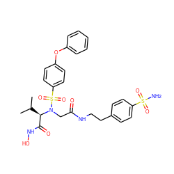 CC(C)[C@H](C(=O)NO)N(CC(=O)NCCc1ccc(S(N)(=O)=O)cc1)S(=O)(=O)c1ccc(Oc2ccccc2)cc1 ZINC000044417816