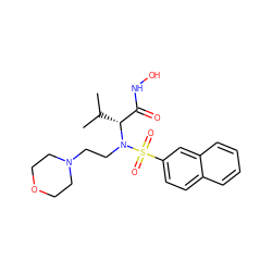 CC(C)[C@H](C(=O)NO)N(CCN1CCOCC1)S(=O)(=O)c1ccc2ccccc2c1 ZINC000073142177