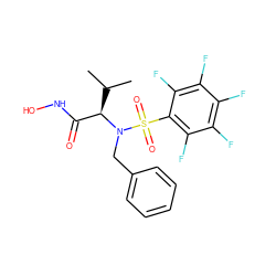 CC(C)[C@H](C(=O)NO)N(Cc1ccccc1)S(=O)(=O)c1c(F)c(F)c(F)c(F)c1F ZINC000010450204