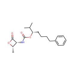 CC(C)[C@H](CCCCc1ccccc1)OC(=O)N[C@H]1C(=O)O[C@H]1C ZINC000096283403