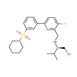 CC(C)[C@H](CO)NCc1nc(-c2cccc(S(=O)(=O)N3CCCCC3)c2)ccc1F ZINC000204414540