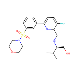 CC(C)[C@H](CO)NCc1nc(-c2cccc(S(=O)(=O)N3CCOCC3)c2)ccc1F ZINC000204413118