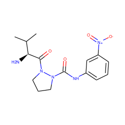 CC(C)[C@H](N)C(=O)N1CCCN1C(=O)Nc1cccc([N+](=O)[O-])c1 ZINC000028131066