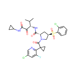 CC(C)[C@H](NC(=O)[C@@H]1C[C@@H](S(=O)(=O)c2ccccc2Cl)CN1C(=O)C1(c2ncc(Cl)cc2F)CC1)C(=O)C(=O)NC1CC1 ZINC000169702137