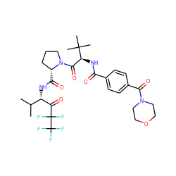 CC(C)[C@H](NC(=O)[C@@H]1CCCN1C(=O)[C@H](NC(=O)c1ccc(C(=O)N2CCOCC2)cc1)C(C)(C)C)C(=O)C(F)(F)C(F)(F)F ZINC000026494930