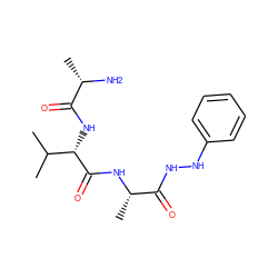 CC(C)[C@H](NC(=O)[C@H](C)N)C(=O)N[C@@H](C)C(=O)NNc1ccccc1 ZINC000064503509