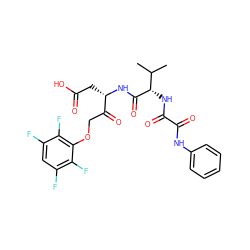 CC(C)[C@H](NC(=O)C(=O)Nc1ccccc1)C(=O)N[C@@H](CC(=O)O)C(=O)COc1c(F)c(F)cc(F)c1F ZINC000026639640