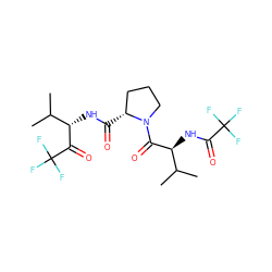 CC(C)[C@H](NC(=O)C(F)(F)F)C(=O)N1CCC[C@H]1C(=O)N[C@H](C(=O)C(F)(F)F)C(C)C ZINC000013762605