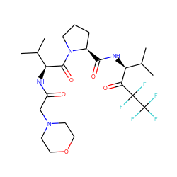 CC(C)[C@H](NC(=O)CN1CCOCC1)C(=O)N1CCC[C@H]1C(=O)N[C@H](C(=O)C(F)(F)C(F)(F)F)C(C)C ZINC000027521555