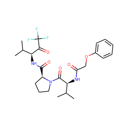 CC(C)[C@H](NC(=O)COc1ccccc1)C(=O)N1CCC[C@H]1C(=O)N[C@H](C(=O)C(F)(F)F)C(C)C ZINC000013765566