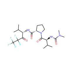 CC(C)[C@H](NC(=O)N(C)C)C(=O)N1CCC[C@H]1C(=O)N[C@H](C(=O)C(F)(F)C(F)(F)F)C(C)C ZINC000013739986