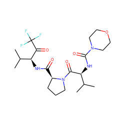 CC(C)[C@H](NC(=O)N1CCOCC1)C(=O)N1CCC[C@H]1C(=O)N[C@H](C(=O)C(F)(F)F)C(C)C ZINC000013740202