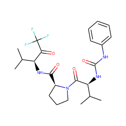 CC(C)[C@H](NC(=O)Nc1ccccc1)C(=O)N1CCC[C@H]1C(=O)N[C@H](C(=O)C(F)(F)F)C(C)C ZINC000013762545