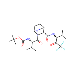 CC(C)[C@H](NC(=O)OC(C)(C)C)C(=O)N1C2CCC(CC2)[C@@H]1C(=O)N[C@H](C(=O)C(F)(F)F)C(C)C ZINC000029565950