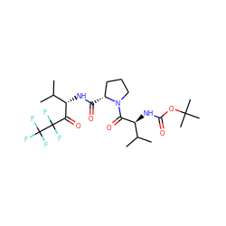 CC(C)[C@H](NC(=O)OC(C)(C)C)C(=O)N1CCC[C@H]1C(=O)N[C@H](C(=O)C(F)(F)C(F)(F)F)C(C)C ZINC000003787184