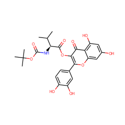 CC(C)[C@H](NC(=O)OC(C)(C)C)C(=O)Oc1c(-c2ccc(O)c(O)c2)oc2cc(O)cc(O)c2c1=O ZINC000043066922