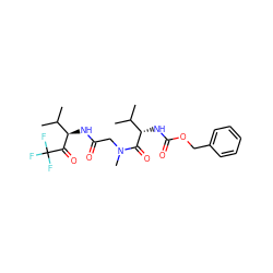 CC(C)[C@H](NC(=O)OCc1ccccc1)C(=O)N(C)CC(=O)N[C@@H](C(=O)C(F)(F)F)C(C)C ZINC000013450025