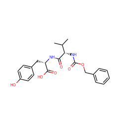 CC(C)[C@H](NC(=O)OCc1ccccc1)C(=O)N[C@@H](Cc1ccc(O)cc1)C(=O)O ZINC000002508279