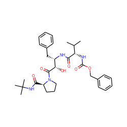 CC(C)[C@H](NC(=O)OCc1ccccc1)C(=O)N[C@@H](Cc1ccccc1)[C@H](O)C(=O)N1CCC[C@H]1C(=O)NC(C)(C)C ZINC000027409308