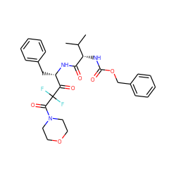 CC(C)[C@H](NC(=O)OCc1ccccc1)C(=O)N[C@@H](Cc1ccccc1)C(=O)C(F)(F)C(=O)N1CCOCC1 ZINC000026500287