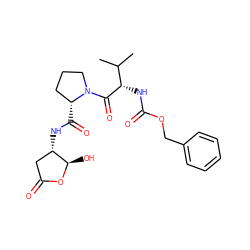 CC(C)[C@H](NC(=O)OCc1ccccc1)C(=O)N1CCC[C@H]1C(=O)N[C@H]1CC(=O)O[C@@H]1O ZINC000026669925