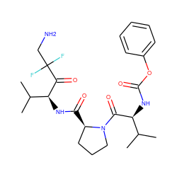 CC(C)[C@H](NC(=O)Oc1ccccc1)C(=O)N1CCC[C@H]1C(=O)N[C@H](C(=O)C(F)(F)CN)C(C)C ZINC000013765569