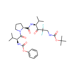 CC(C)[C@H](NC(=O)Oc1ccccc1)C(=O)N1CCC[C@H]1C(=O)N[C@H](C(=O)C(F)(F)CNC(=O)OC(C)(C)C)C(C)C ZINC000026261105