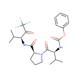 CC(C)[C@H](NC(=O)Oc1ccccc1)C(=O)N1CCC[C@H]1C(=O)N[C@H](C(=O)C(F)(F)F)C(C)C ZINC000013516116