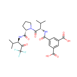 CC(C)[C@H](NC(=O)c1cc(C(=O)O)cc(C(=O)O)c1)C(=O)N1CCC[C@H]1C(=O)N[C@@H](C(=O)C(F)(F)F)C(C)C ZINC000029555988