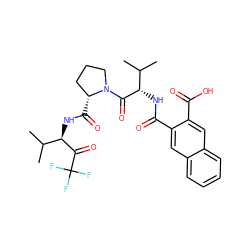 CC(C)[C@H](NC(=O)c1cc2ccccc2cc1C(=O)O)C(=O)N1CCC[C@H]1C(=O)N[C@@H](C(=O)C(F)(F)F)C(C)C ZINC000029552385