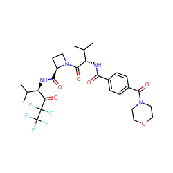 CC(C)[C@H](NC(=O)c1ccc(C(=O)N2CCOCC2)cc1)C(=O)N1CC[C@@H]1C(=O)N[C@@H](C(=O)C(F)(F)C(F)(F)F)C(C)C ZINC000026506875