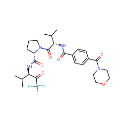 CC(C)[C@H](NC(=O)c1ccc(C(=O)N2CCOCC2)cc1)C(=O)N1CCC[C@H]1C(=O)N[C@@H](C(=O)C(F)(F)F)C(C)C ZINC000026399849