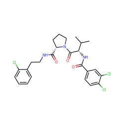 CC(C)[C@H](NC(=O)c1ccc(Cl)c(Cl)c1)C(=O)N1CCC[C@H]1C(=O)NCCc1ccccc1Cl ZINC000095603748