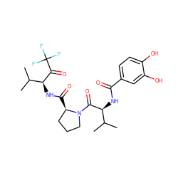 CC(C)[C@H](NC(=O)c1ccc(O)c(O)c1)C(=O)N1CCC[C@H]1C(=O)N[C@H](C(=O)C(F)(F)F)C(C)C ZINC000029551135