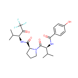 CC(C)[C@H](NC(=O)c1ccc(O)cc1)C(=O)N1CCC[C@H]1C(=O)N[C@H](C(=O)C(F)(F)F)C(C)C ZINC000013762563