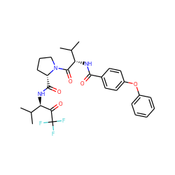 CC(C)[C@H](NC(=O)c1ccc(Oc2ccccc2)cc1)C(=O)N1CCC[C@H]1C(=O)N[C@@H](C(=O)C(F)(F)F)C(C)C ZINC000029556528