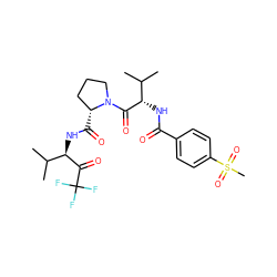 CC(C)[C@H](NC(=O)c1ccc(S(C)(=O)=O)cc1)C(=O)N1CCC[C@H]1C(=O)N[C@@H](C(=O)C(F)(F)F)C(C)C ZINC000029557990