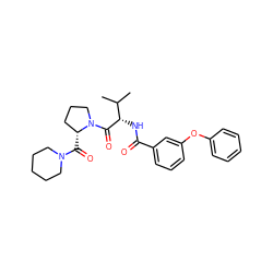 CC(C)[C@H](NC(=O)c1cccc(Oc2ccccc2)c1)C(=O)N1CCC[C@H]1C(=O)N1CCCCC1 ZINC000049783854