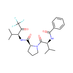 CC(C)[C@H](NC(=O)c1ccccc1)C(=O)N1CCC[C@H]1C(=O)N[C@H](C(=O)C(F)(F)F)C(C)C ZINC000013762597