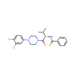 CC(C)[C@H](NC(=O)c1ccccc1)C(=O)N1CCN(c2ccc(Cl)c(Cl)c2)CC1 ZINC000095571734