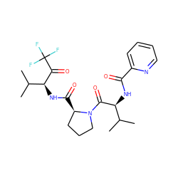 CC(C)[C@H](NC(=O)c1ccccn1)C(=O)N1CCC[C@H]1C(=O)N[C@H](C(=O)C(F)(F)F)C(C)C ZINC000013762520