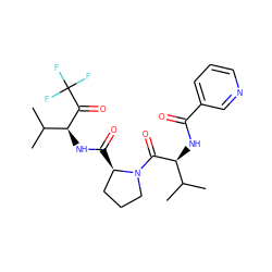 CC(C)[C@H](NC(=O)c1cccnc1)C(=O)N1CCC[C@H]1C(=O)N[C@H](C(=O)C(F)(F)F)C(C)C ZINC000013762513