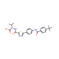 CC(C)[C@H](NC(=O)c1ncc(-c2ccc(NC(=O)c3ccc(C(C)(C)C)cc3)cc2)s1)C(=O)O ZINC000068267537